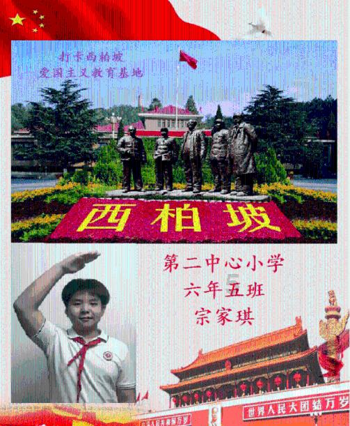 图片视频回顾 | “救”在身边，心肺复苏急救知识进社区